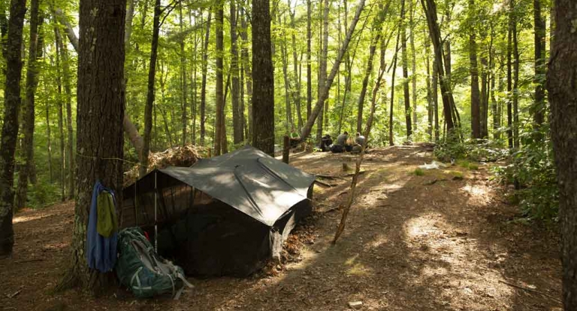 a campsite in the woods of the blue ridge mountains on a gap year course with outward bound
